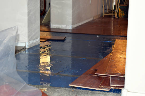 Professional Sewage Cleanup technician working in Knierim, IA